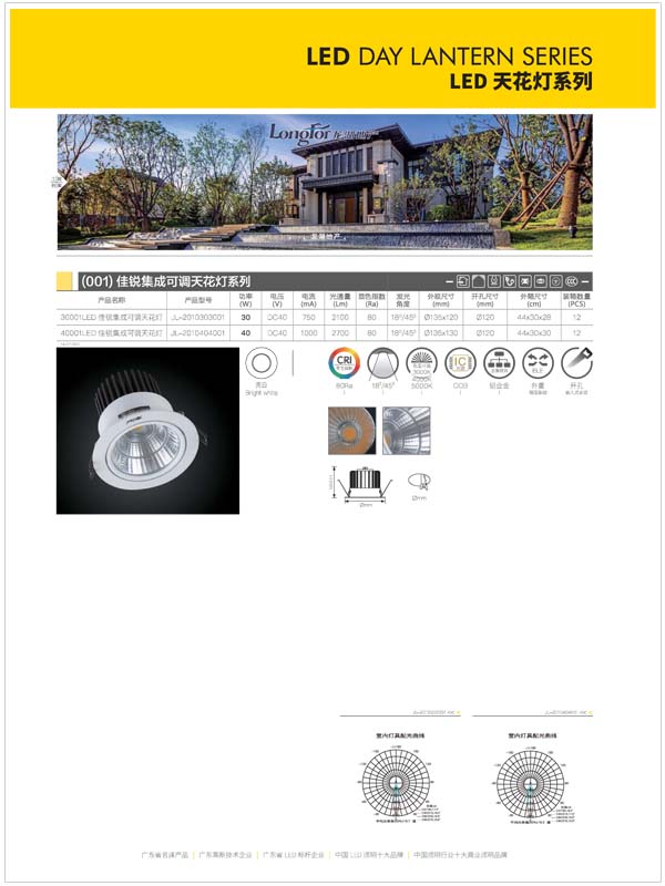 (001) JiaRui Integrated Adjustable Ceiling Light Series